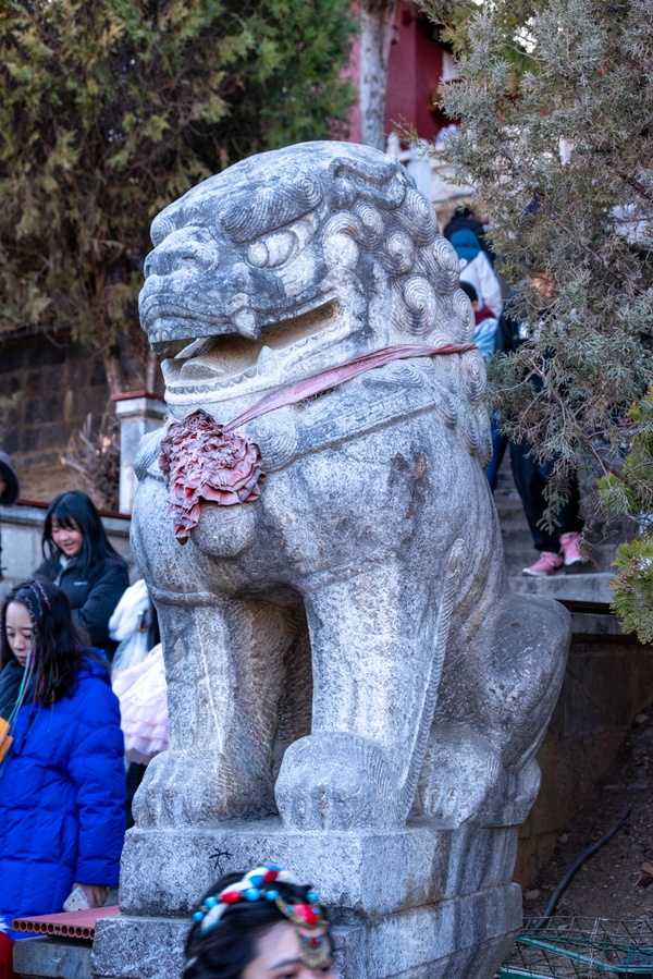 云南 — photograph 48